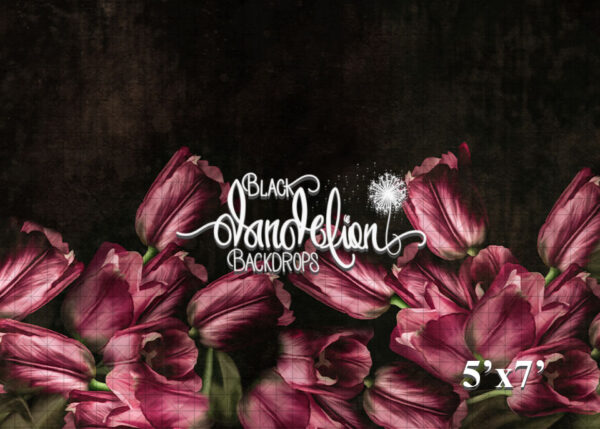 5x7-Pink Tulips-Black Dandelion Backdrops
