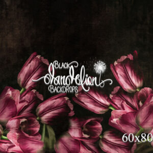 60x80-Pink Tulips-Black Dandelion Backdrops
