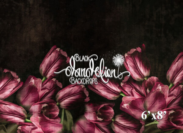 6x8-Pink Tulips-Black Dandelion Backdrops