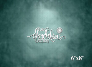 6x8-Texture 38-Black Dandelion Backdrops