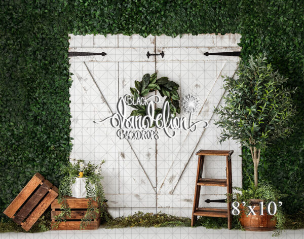 8x10-Magnolia Entry-Black Dandelion Backdrops