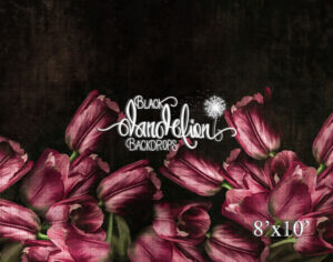 8x10-Pink Tulips-Black Dandelion Backdrops