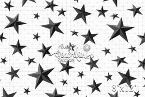 8x12-Black Stars-Black Dandelion Backdrops