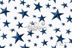 8x12-Blue Stars-Black Dandelion Backdrops