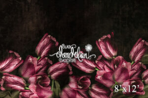 8x12-Pink Tulips-Black Dandelion Backdrops