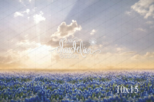 10x15-Peach Sunset Blue Bonnets-Black Dandelion Backdrops