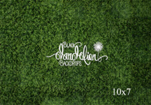 10x7-Boxwood Grass Wall-Black Dandelion Backdrops
