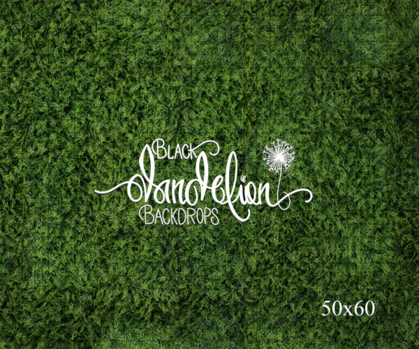 50x60-Boxwood Grass Wall-Black Dandelion Backdrops