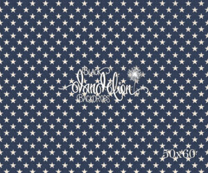 50x60-Stars-Black Dandelion Backdrops