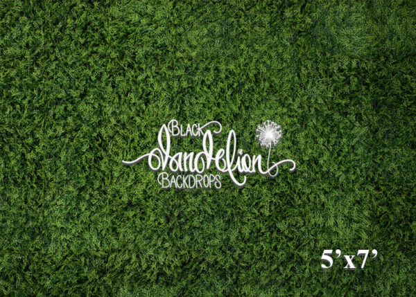 5x7-Boxwood Grass Wall-Black Dandelion Backdrops