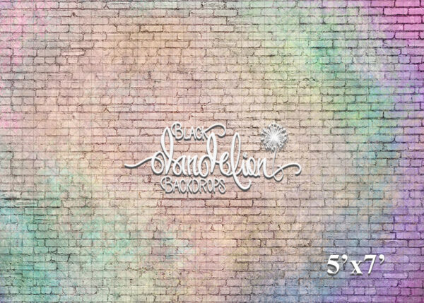 5x7-Pastel Rainbow Brick-Black Dandelion Backdrops