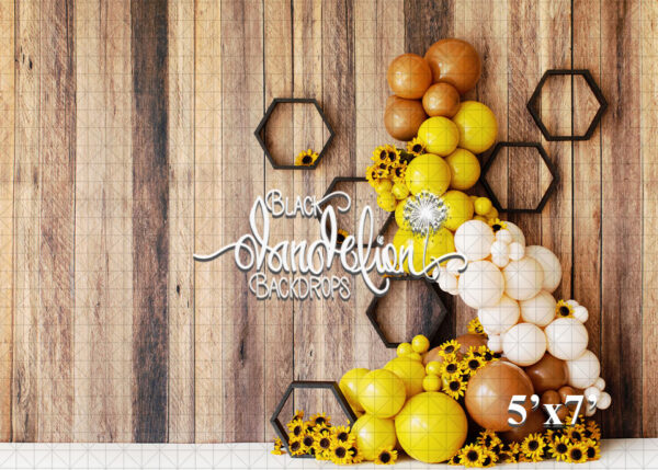 5x7-Sunflower Honey-Black Dandelion Backdrops