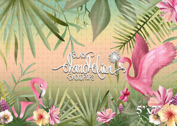 5x7-Sunset Flamingos-Black Dandelion Backdrops