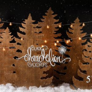 5x8-Stained Christmas Trees at Night-Black Dandelion Backdrops