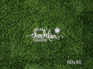 60x80-Boxwood Grass Wall-Black Dandelion Backdrops