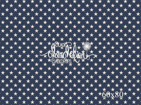 60x80-Stars-Black Dandelion Backdrops