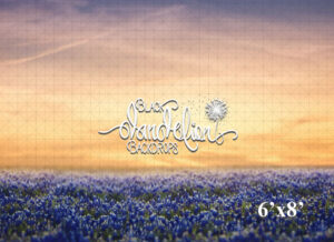 6x8-Blue Bonnets at Sunset-Black Dandelion Backdrops