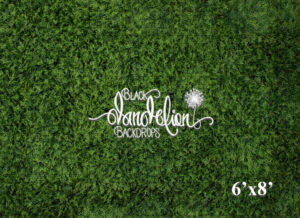 6x8-Boxwood Grass Wall-Black Dandelion Backdrops