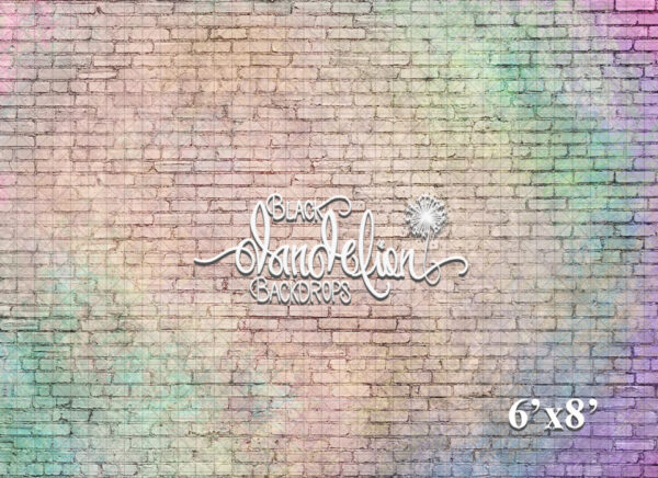 6x8-Pastel Rainbow Brick-Black Dandelion Backdrops
