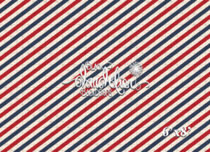 6x8-Red and Blue Stripes-Black Dandelion Backdrops