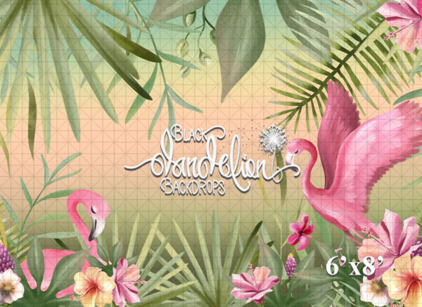 6x8-Sunset Flamingos-Black Dandelion Backdrops