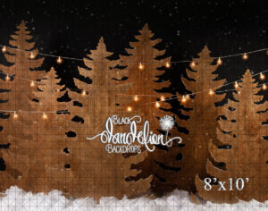 8x10-Stained Christmas Trees at Night-Black Dandelion Backdrops