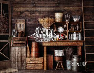 8x10-Vintage Kitchen-Black Dandelion Backdrops