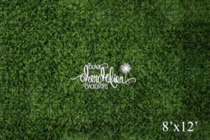 8x12-Boxwood Grass Wall-Black Dandelion Backdrops