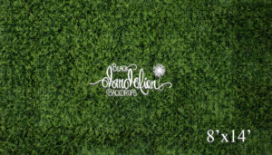 8x14-Boxwood Grass Wall-Black Dandelion Backdrops
