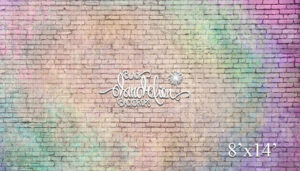 8x14-Pastel Rainbow Brick-Black Dandelion Backdrops