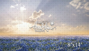 8x14-Peach Sunset Blue Bonnets-Black Dandelion Backdrops