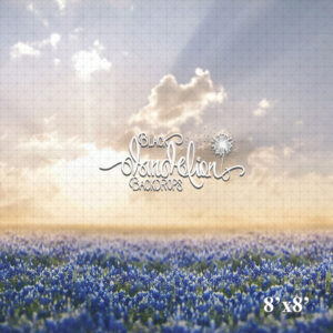 8x8-Peach Sunset Blue Bonnets-Black Dandelion Backdrops