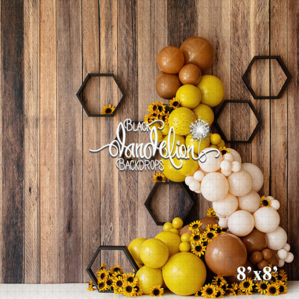 8x8-Sunflower Honey-Black Dandelion Backdrops