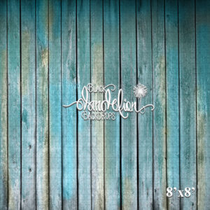 8x8-Beach Barn Planks-Black Dandelion Backdrops
