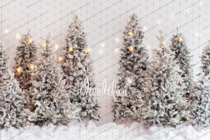 10x15-A white Christmas-Black Dandelion Backdrops