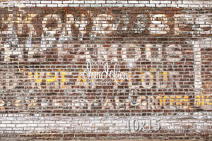 10x15-Famous Brick-Black Dandelion Backdrops