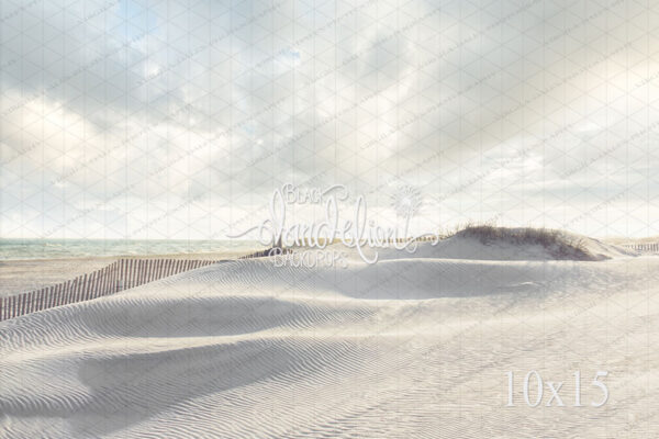 10x15-Navarre Beach-Black Dandelion Backdrops