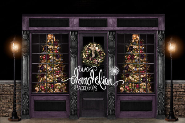 10x15-Park City Christmas-Black Dandelion Backdrops