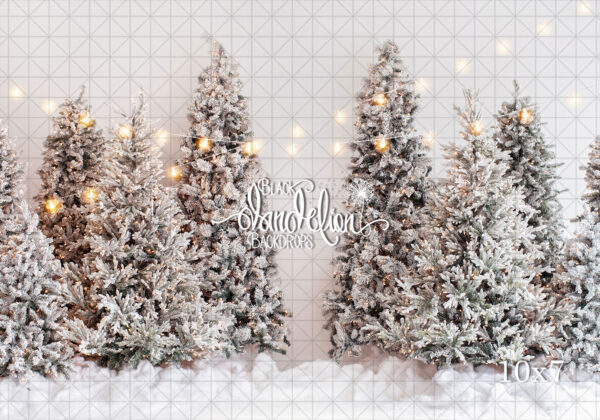 10x7-A white Christmas-Black Dandelion Backdrops