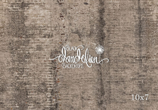 10x7-Aged Brick-Black Dandelion Backdrops