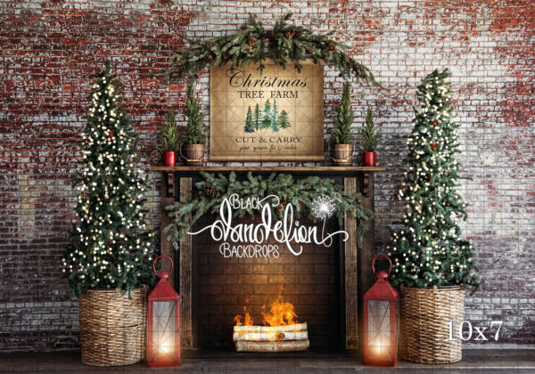 10x7-Cut and Carry Christmas trees-Black Dandelion Backdrops