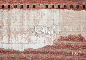 10x7-Holbert Brick-Black Dandelion Backdrops