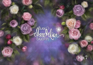 10x7-Juliette Grandi-Black Dandelion Backdrops