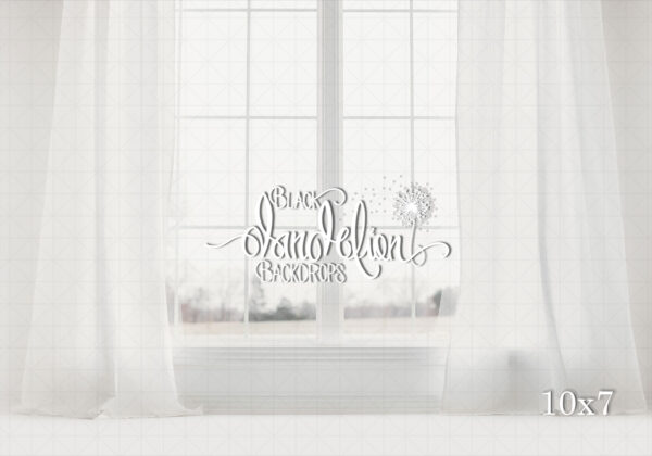 10x7-White Window-Black Dandelion Backdrops