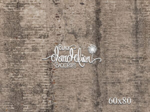 60x80-Aged Brick-Black Dandelion Backdrops