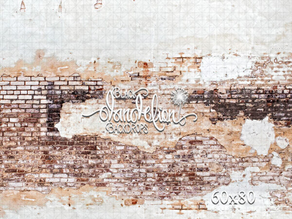 60x80-Airdale Brick-Black Dandelion Backdrops