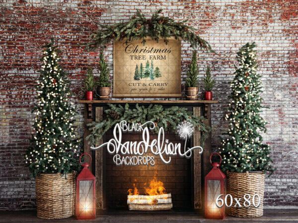 60x80-Cut and Carry Christmas trees-Black Dandelion Backdrops