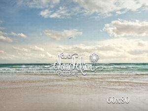 60x80-Florida Beach-Black Dandelion Backdrops