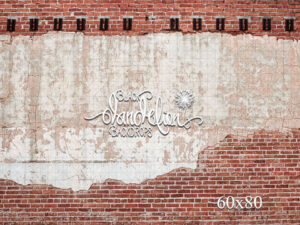 60x80-Holbert Brick-Black Dandelion Backdrops