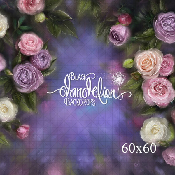 60x60-Juliette Grandi-Black Dandelion Backdrops